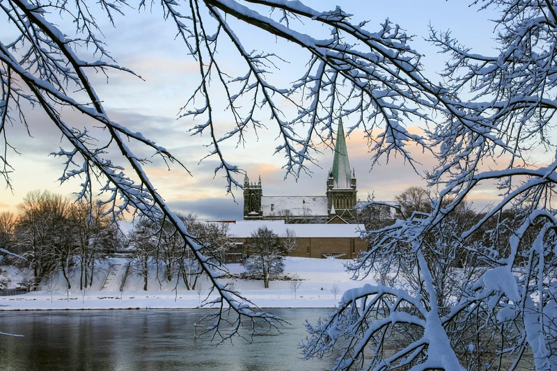 Catedral de Nidaros en Trondheim vista entre ramas nevadas en invierno